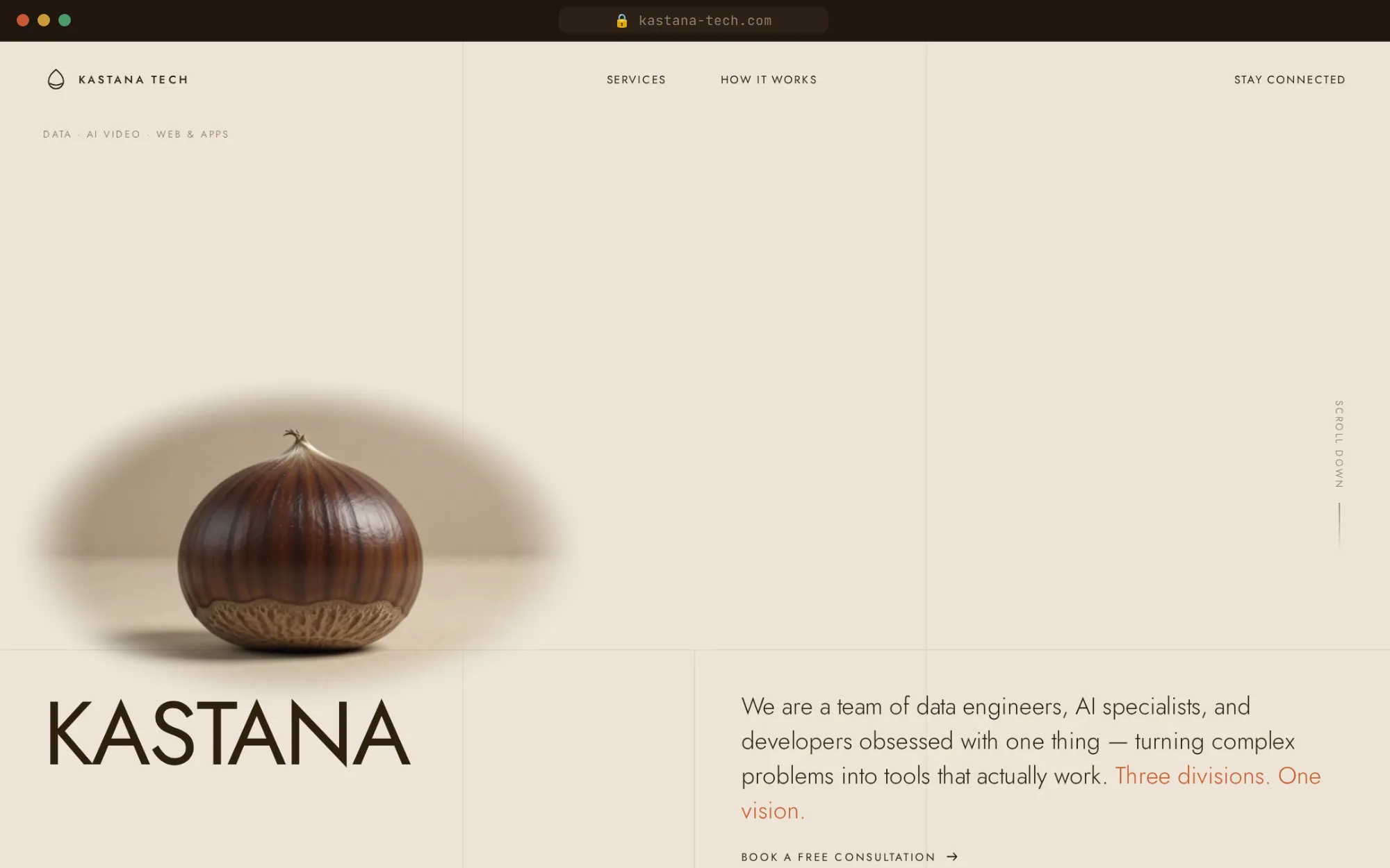 kastana-tech.com, built by Kastana Dev